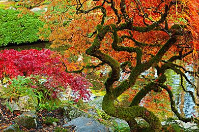 《方舟生存进化》史低29元领衔，多款作品农历新年特卖史低预告