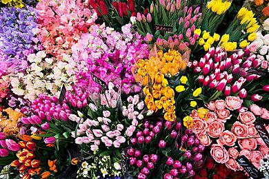 国产神话动作肉鸽《宝莲灯：太子沉香》发售日预告 4月12日上线